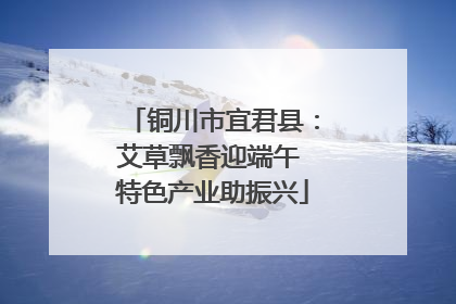 铜川市宜君县：艾草飘香迎端午 特色产业助振兴